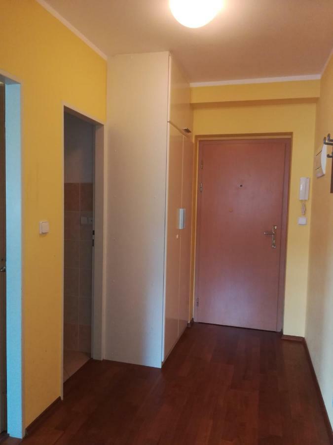 Apartments Rokytka 308 & 405 Rokytnice nad Jizerou Bagian luar foto